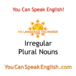irregular plural nouns